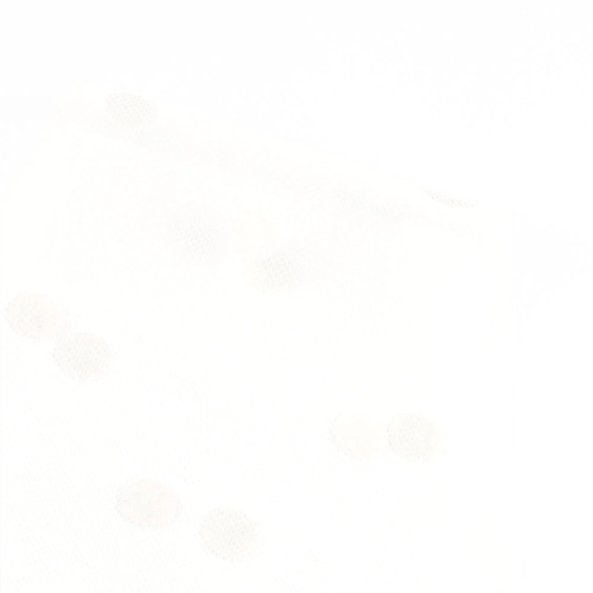 Flocked Dot Tulle - Ivory