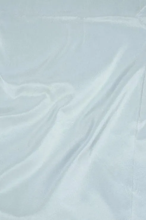 Mint Cream Taffeta Silk Fabric